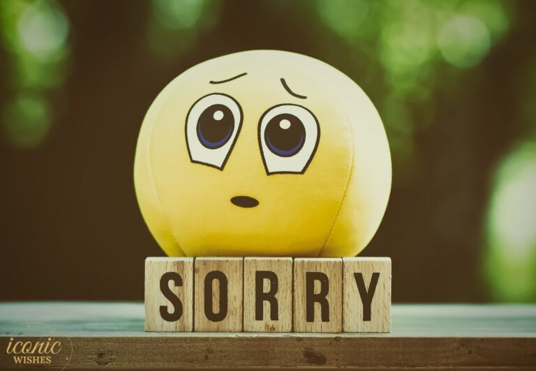 Sorry Messages for Loved Ones