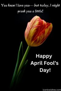 April Fool’s Quotes April Fool’s Prank Messages April Fool’s Greetings for Friends April Fool’s Text Messages April Fool’s Jokes for Family