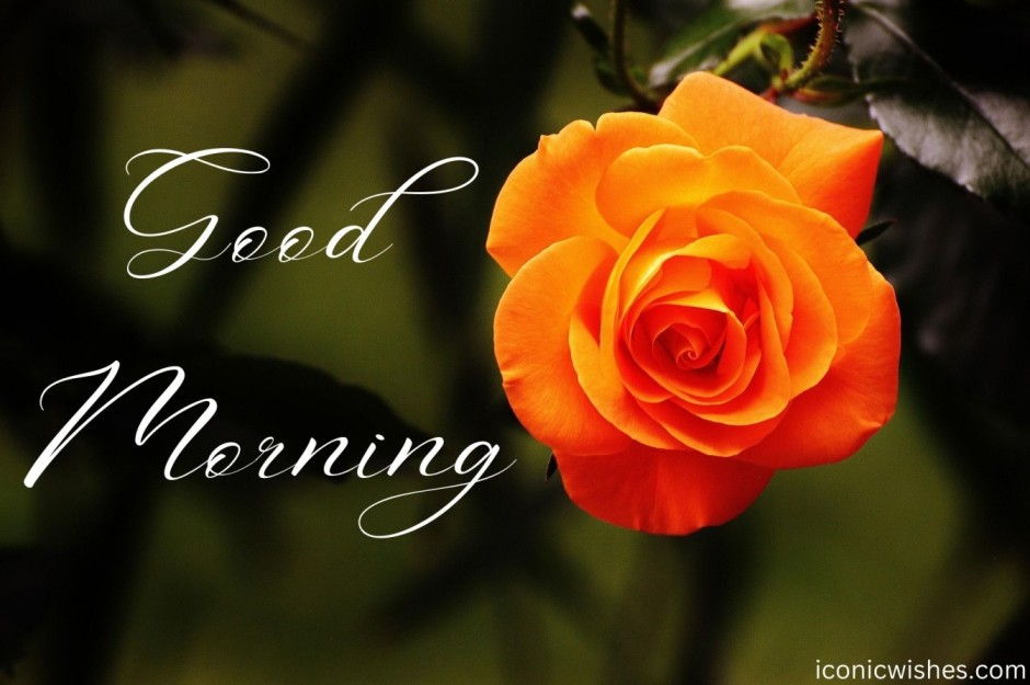 good morning love message for her 