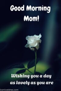 morning mom quotes morning quotes for mom morning quotes for mother morning wishes for mom